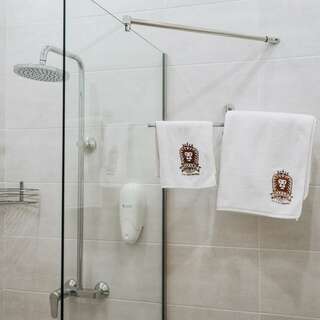 Гостиница Сибирский Сафари клуб Красноярск Стандарт (с 1 кроватью или 2 раздельными)-4