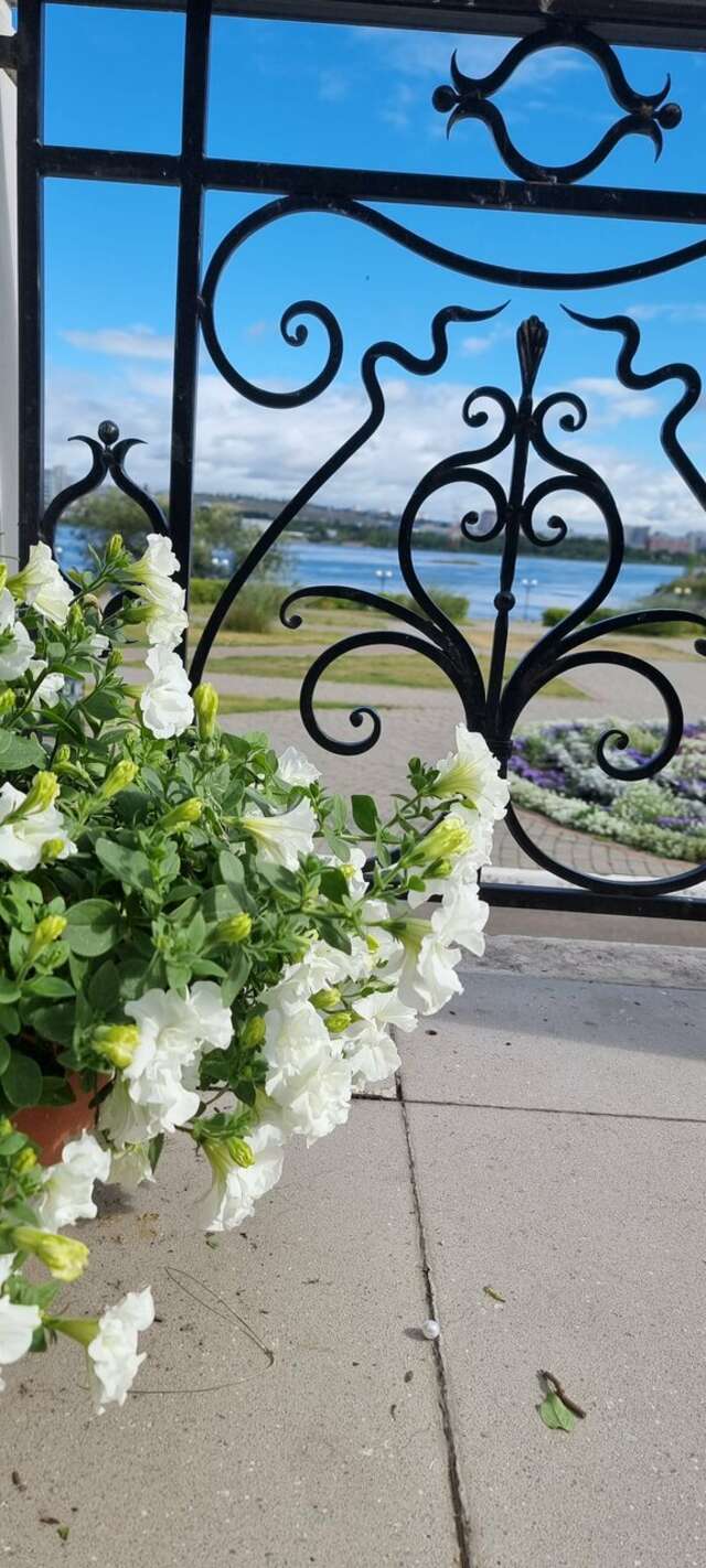 Гостиница Сибирский Сафари клуб Красноярск-39