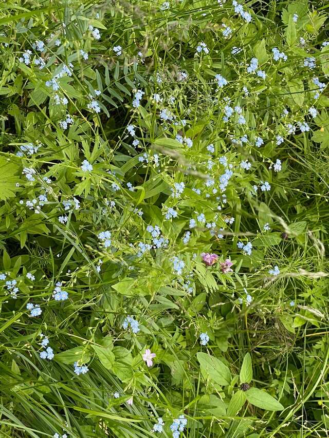 Гостиница Сибирский Сафари клуб Красноярск-127